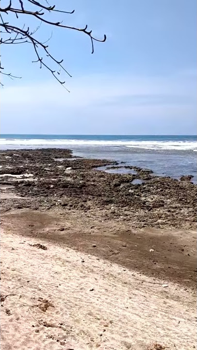 Risma sunda- pantai pamempeuk