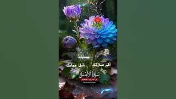 تلاوة خاشعة عطرة مباركة جميلة عذبة للشيخ ماهر المعيقلي ماتيسر من سورة الأعلى
