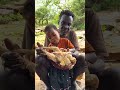 The daily life and diet of the Hazarbi tribe