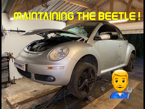 Video: Bơm xăng xe Volkswagen Beetle 2001 giá bao nhiêu?