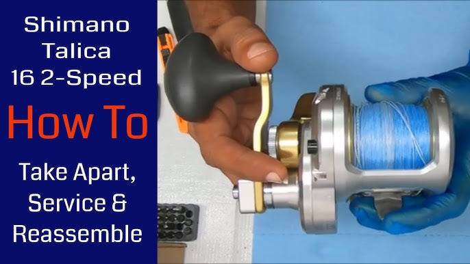 Shimano Talica 12ii Reel Service Tutorial How To Take Down and Grease Gears  (Extended) 2 speed reels 
