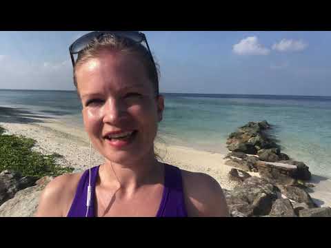 Video: Malediivit Lomakohteen Kilpikonna