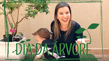 Quais as habilidades da BNCC para Educação Infantil?