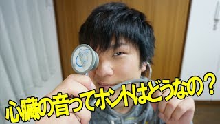 心臓の音って聞いたことある？