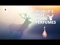 Worlds best musk perfumes  fridaycharmcom