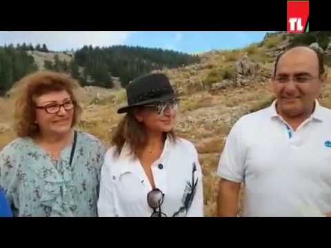 زرع ارزة تلفزيون لبنان في الباروك upload image