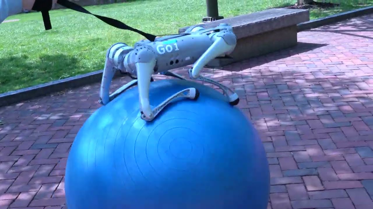 DrEureka's Sim-to-Real: Now Robots Can Train Themselves - Analytics Vidhya