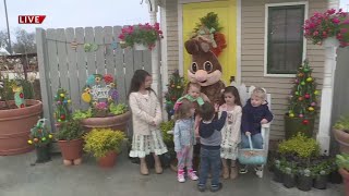 Easter activities return at Eckert’s Farm