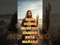 ☀️QUE DIOS GUARDE CADA PASO DE TU FAMILIA EN ESTA MAÑANA🙏