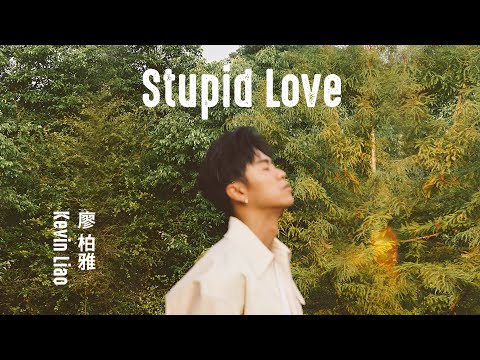 Kevin Liao 廖柏雅《Stupid Love》Official Lyric Video