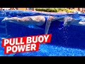 Why every swimmer needs a pull buoy  beginner tips