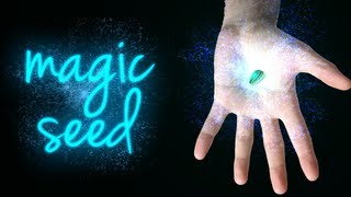 Magic Seed