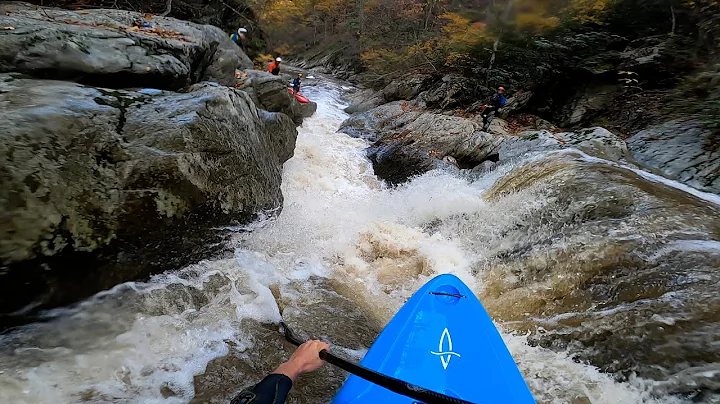Bottoms Creek - Virginia's Finest