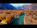 Best 4K Drone Footage of Autumn in Siberia - Ambient Drone Film about Beauty of Fall Foliage Season