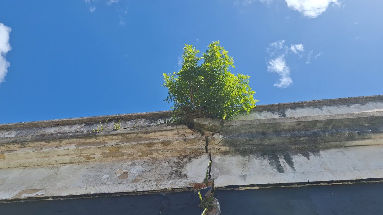 21 de fevereiro de 2026