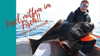 Angeln in Nord-Norwegen - hammer Wetter, tolle Fische, harte DRILLS!!! Vandve  Kystverie 2019