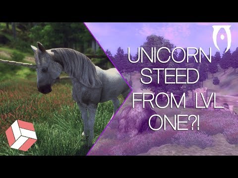 Oblivion - Tutorial on How to Get the Unicorn!!