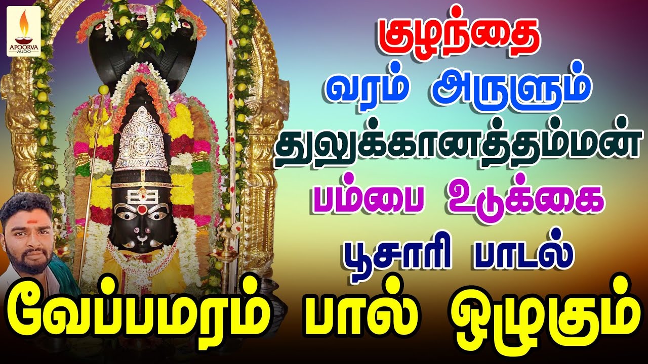 குழந்தை வரம் அருளும் துலுக்கானத்தம்மன் பம்பை உடுக்கை பூசாரி பாடல் | Apoorva Audios