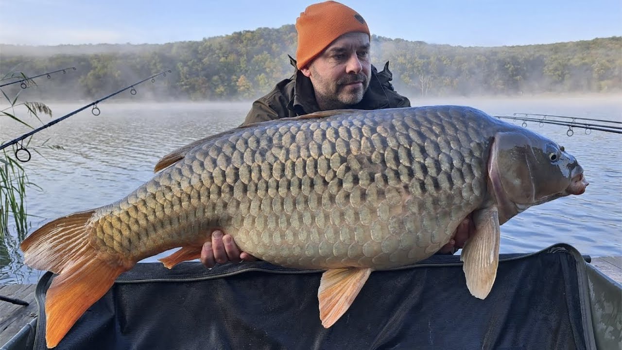 Bojlis versenyen jártunk! | Harsányi horgásztó