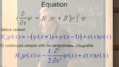 The Nonlinear Schroedinger Equation (NLSE) with a Random Potential | Shmuel Fishman