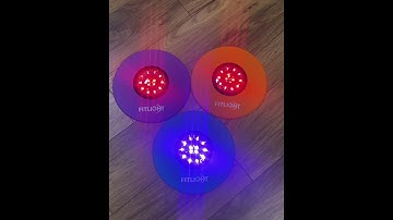 FITLIGHT® Accessories: Lite-Bases