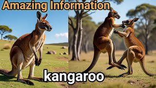 Top 10 Incredible Kangaroo Facts | Amazing Animal Knowledge & Wildlife”