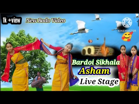 Bardoi Sikhala Asham  New Video Song Bodo 2024  Program  Raipur Chhattisgarh
