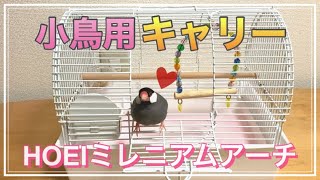 【鳥用キャリーケージの紹介｜HOEIミレニアムアーチ】小鳥のお世話Vlog