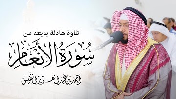 وله ما سكن في الليل والنهار | تلاوة هادئة بديعة من سورة الأنعام