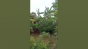 Tập 536: Lô đất view sông rộng 380 m² Kim Đông, đẹp xuất sắc để xây biệt thự, homestay, quán cà phê