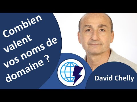 Combien valent vos noms de domaine ? Interview de David Chelly