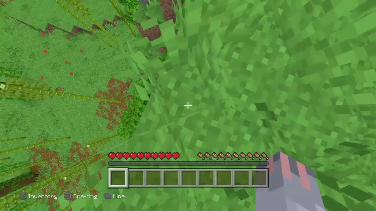 Minecraft lets play survival hard - YouTube