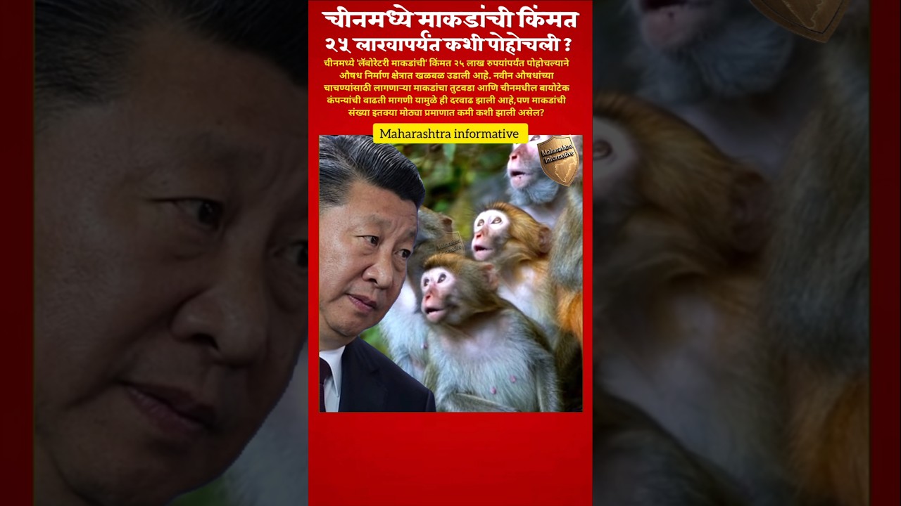 चीनमध्ये माकडांची किंमत २५ लाखांवर!