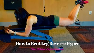 How To Bent Leg Reverse Hyper