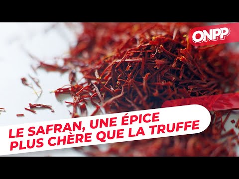 Vidéo: Le safran a-t-il du goût ?