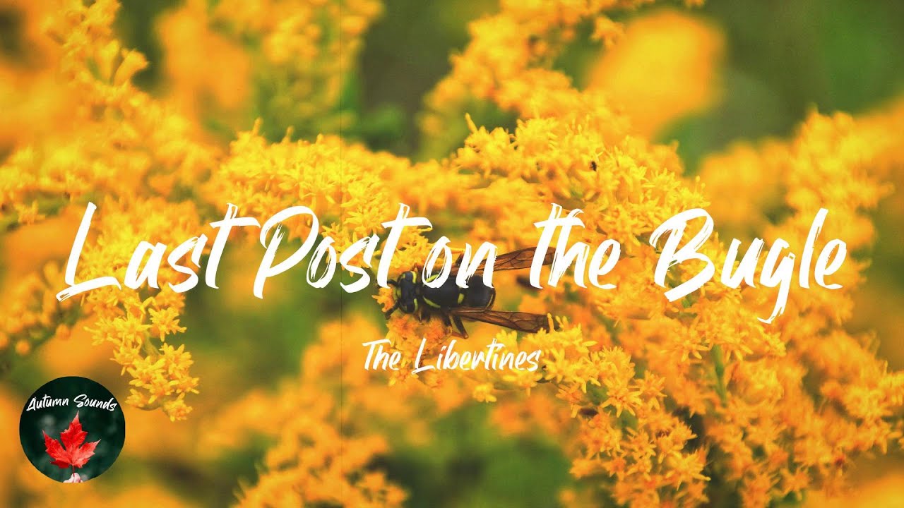 The Libertines Last Post on the Bugle (Lyric video) YouTube