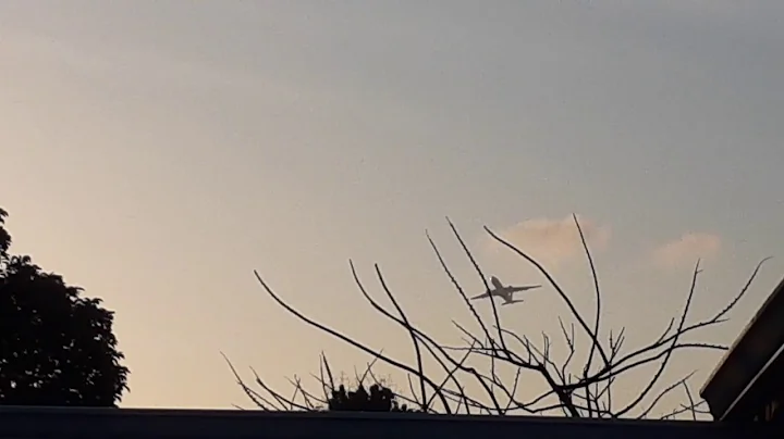 Avianca (Star Alliance) Airbus A330-243 (N342AV) Heavy Departing from Miami, FL to Bogota, 🇨🇴 as AV7