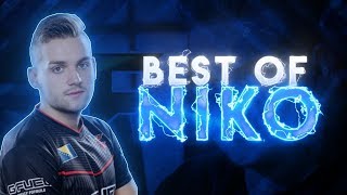 CS:GO Best of Niko (Amazing One Taps)