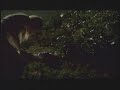 True Blood Season 3 "Waiting Sucks" Promo #4 (Jason Version)
