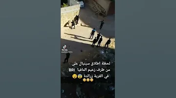 لحظة إطلاق سينيال من طرف زعيم مافيا في القرية زرالدة 