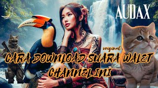 Cara download suara walet di channel ini | Suara walet Terbaru