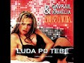 KAMELIA LUDA PO TEBE GAVRAIL S FORBIDDEN MIX KAMELIA LUDA PO TEBE GAVRAIL S FORBIDDEN MIX