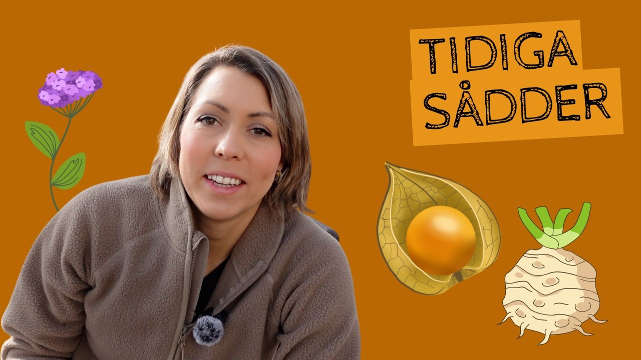 Sådd i MARS av sådant som tar tid på sig