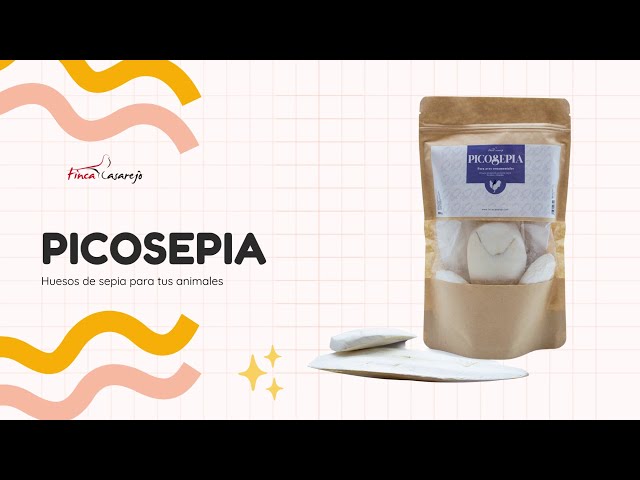 Vídeo PicoSepia