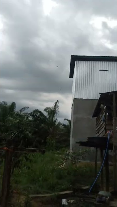 respon sp mj 2021 andi sufar pemakaian 1 bulan