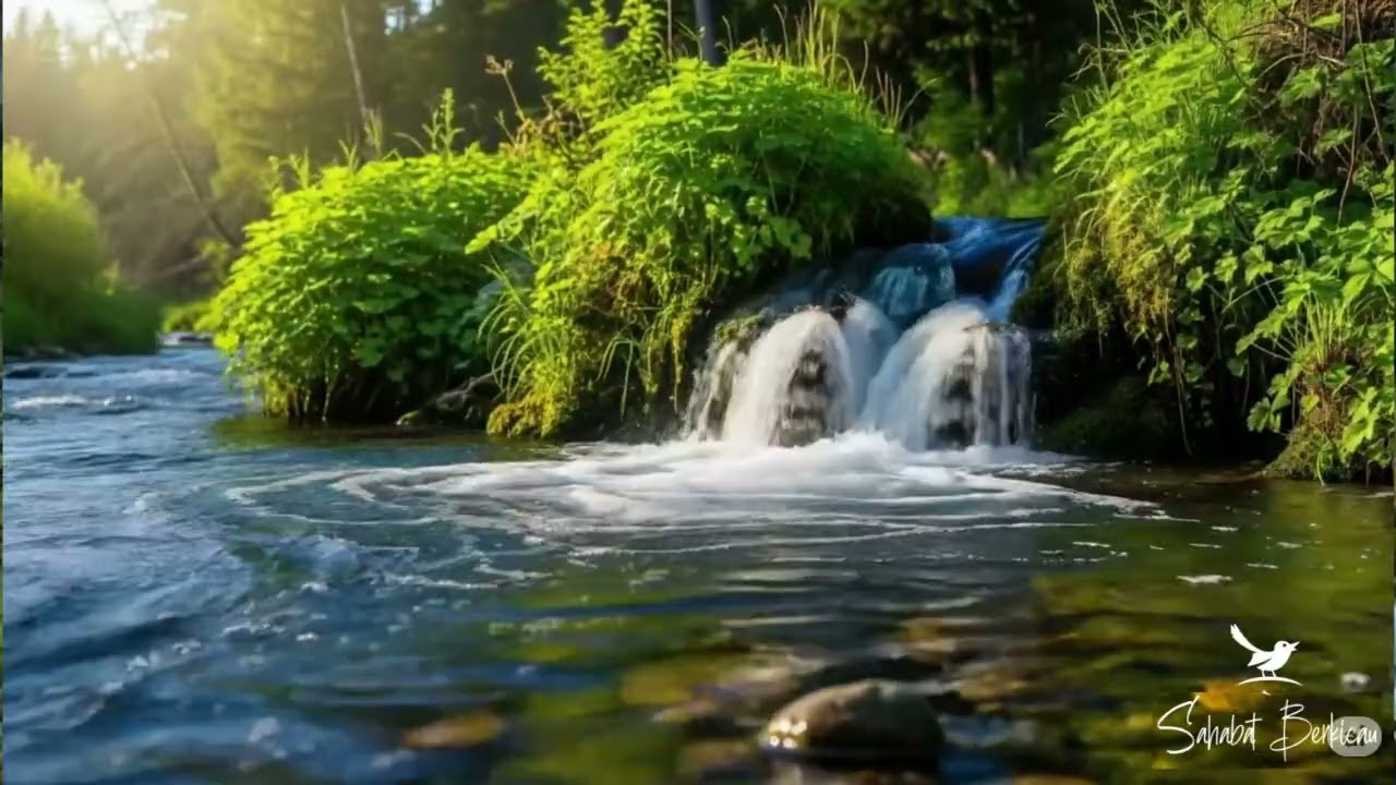 Suara air sungai untuk terapi burung stress