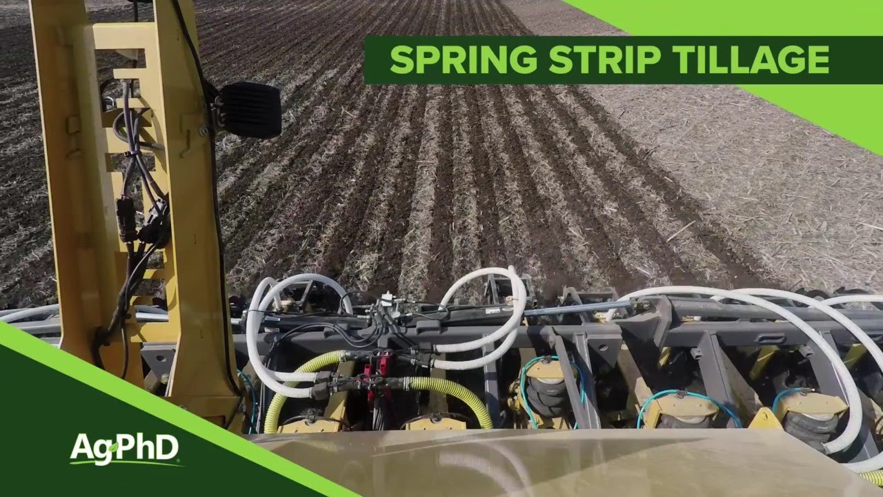 Spring Strip Tillage (From Ag PhD Show #1098 - Air Date 4-21-19) 