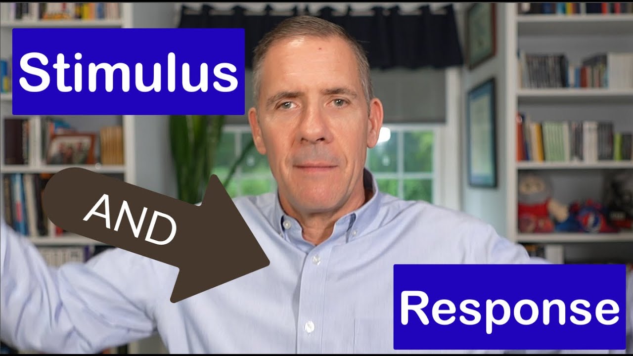 The Space Between A Stimulus and Your Response Is Your Power to Thrive ...