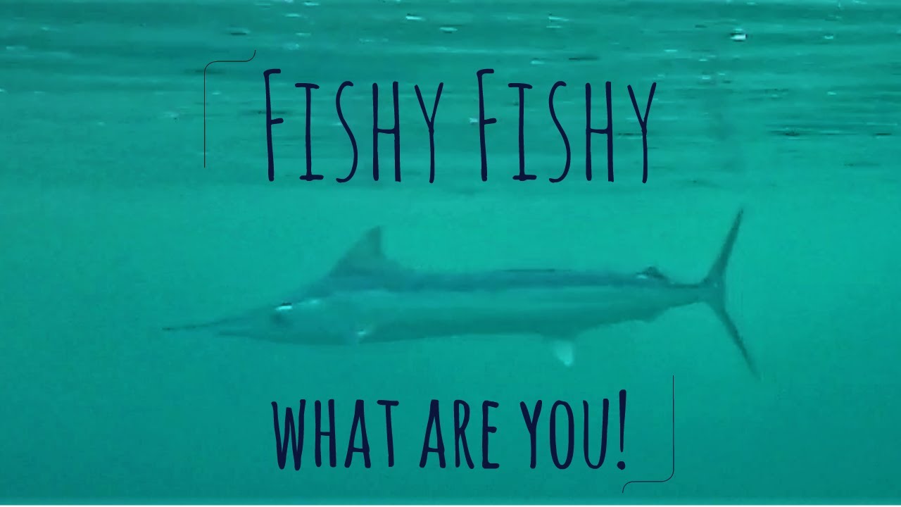 Fishy Fishy what are you? [Bonus Ep1] Sailing Salacia Star