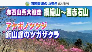 A long traverse of the Akaishi mountain range! From Tsunaguriyama